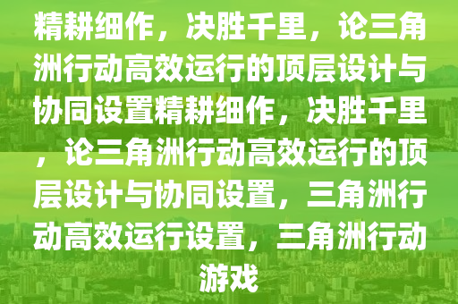 精耕细作，决胜千里，论三角洲行动高效运行的顶层设计与协同设置精耕细作，决胜千里，论三角洲行动高效运行的顶层设计与协同设置，三角洲行动高效运行设置，三角洲行动游戏