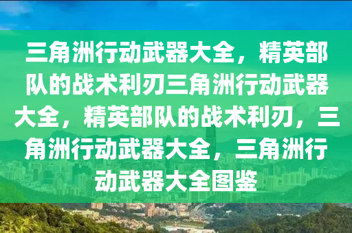 三角洲行动武器大全，精英部队的战术利刃三角洲行动武器大全，精英部队的战术利刃，三角洲行动武器大全，三角洲行动武器大全图鉴