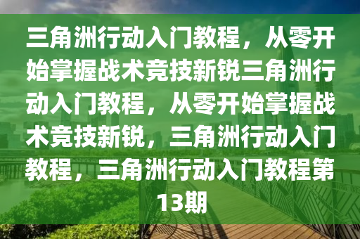 三角洲行动入门教程，从零开始掌握战术竞技新锐三角洲行动入门教程，从零开始掌握战术竞技新锐，三角洲行动入门教程，三角洲行动入门教程第13期